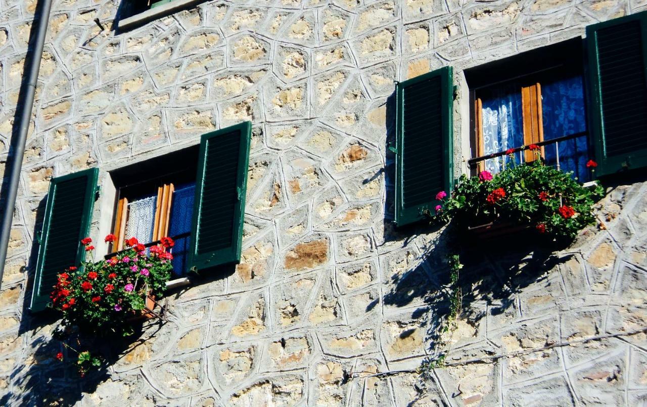 Andante Appartamenti Castelnuovo di Val di Cecina Exteriér fotografie