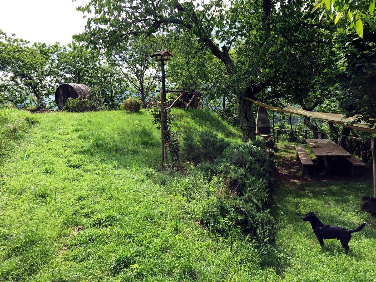 Andante Appartamenti Castelnuovo di Val di Cecina Exteriér fotografie