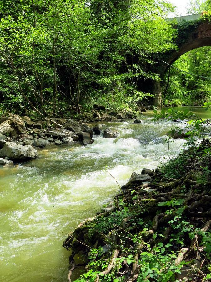 Andante Appartamenti Castelnuovo di Val di Cecina Exteriér fotografie