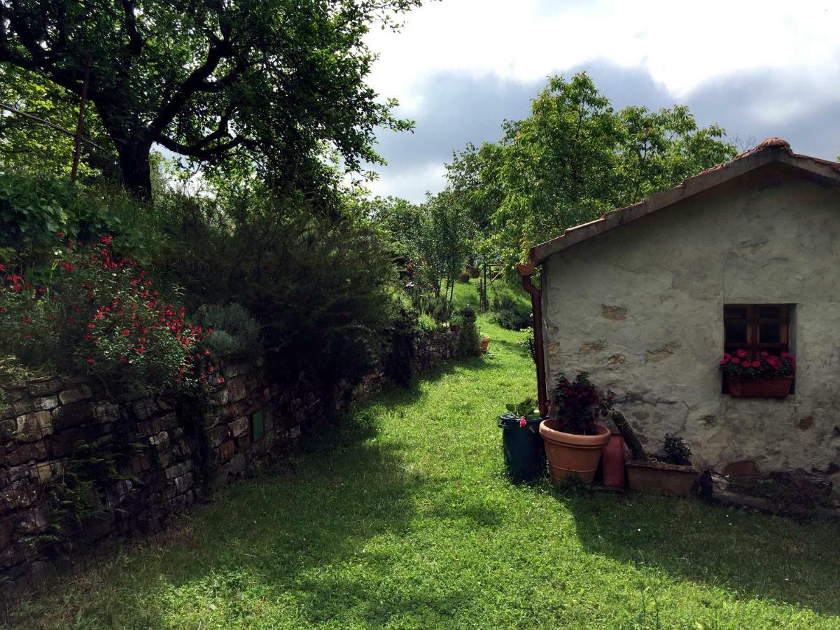Andante Appartamenti Castelnuovo di Val di Cecina Exteriér fotografie